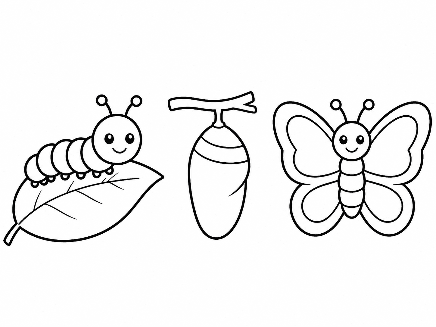 Etapas del ciclo de la mariposa para una actividad de 6 a 9 años