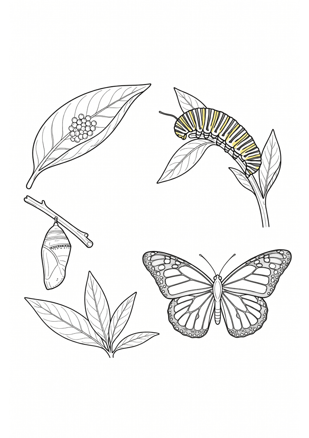 Original black-and-white line art