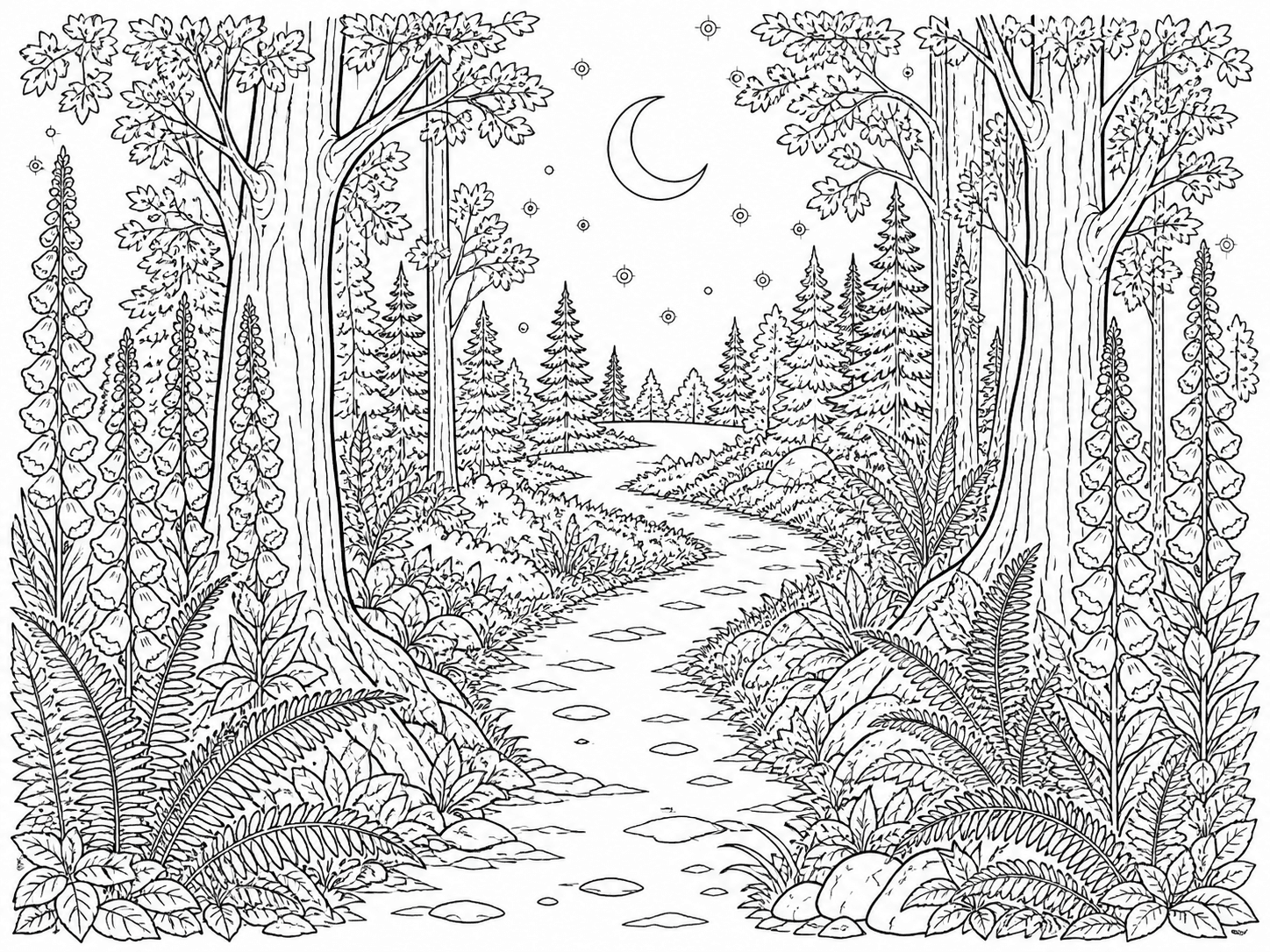 Moonlit forest path adult coloring page