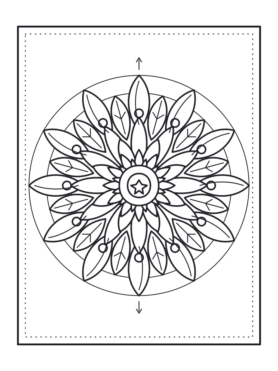 Blank botanical mandala line art before any colors are added