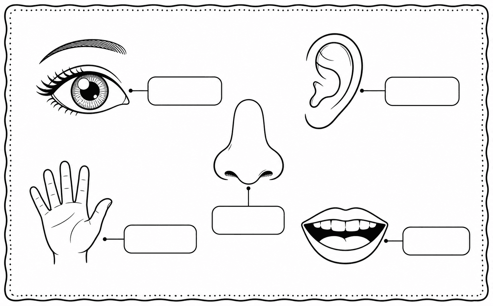 Five senses vocabulary label worksheet