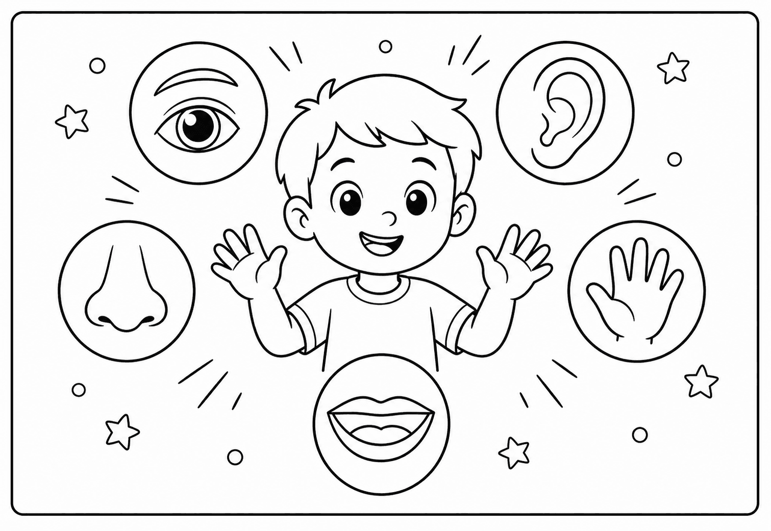 Human Body & Five Senses classroom coloring page theme