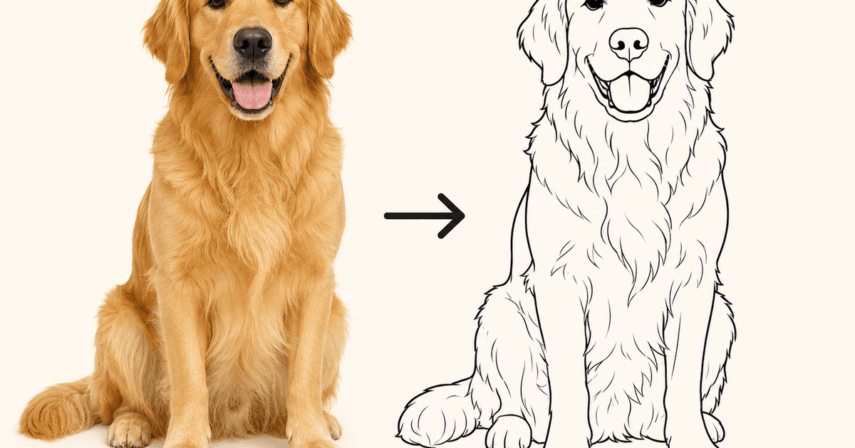 Step-by-step coloring guidance