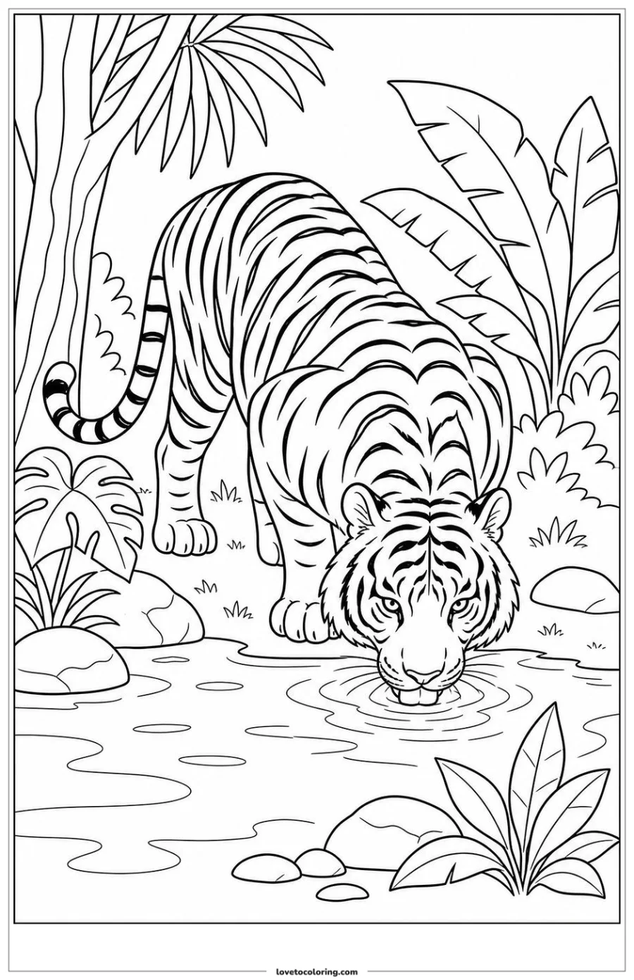 Dibujo para colorear de tiger drinking at the edge of shallow water