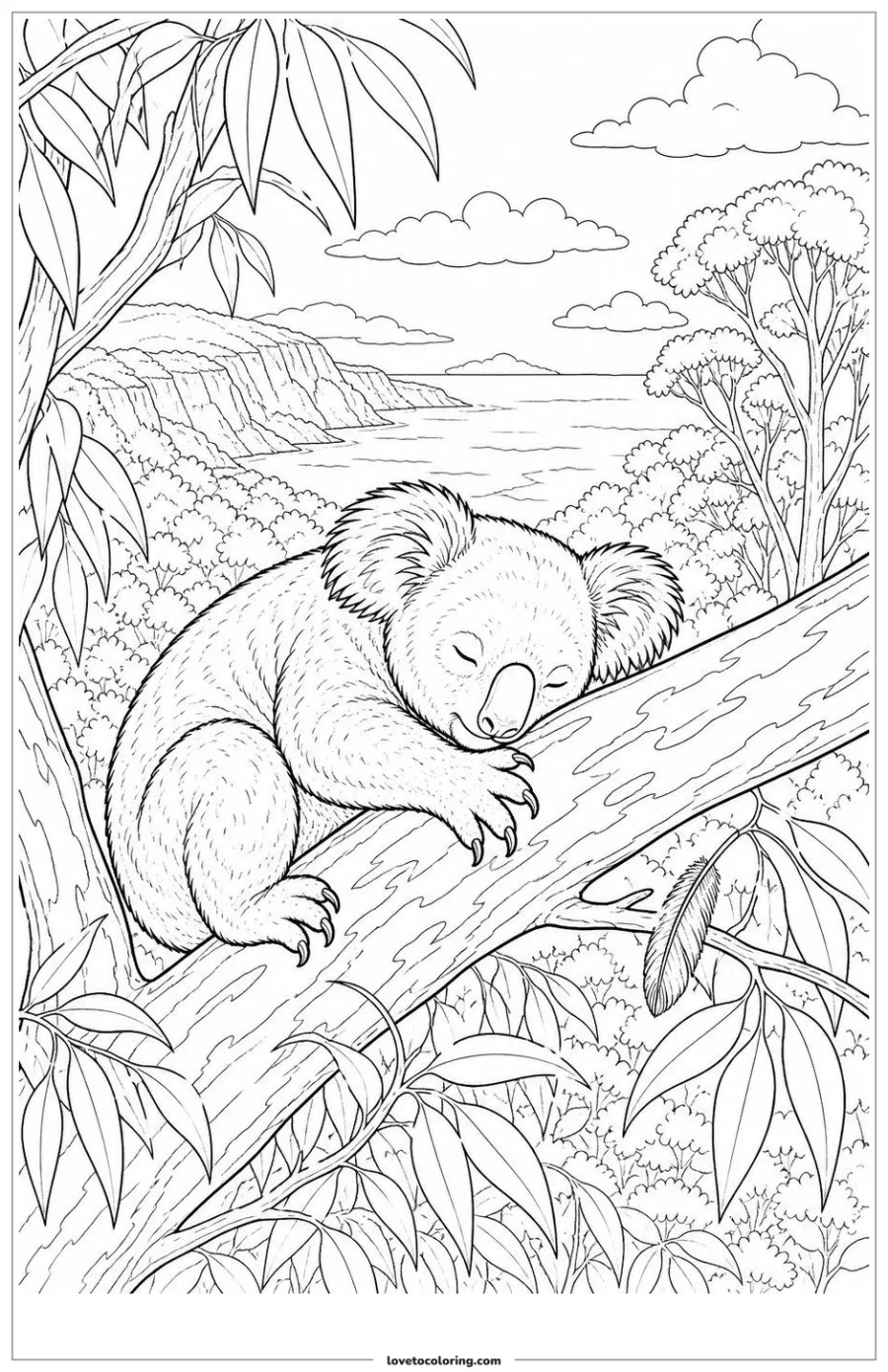 Dibujo para colorear de koala resting on a broad eucalyptus branch
