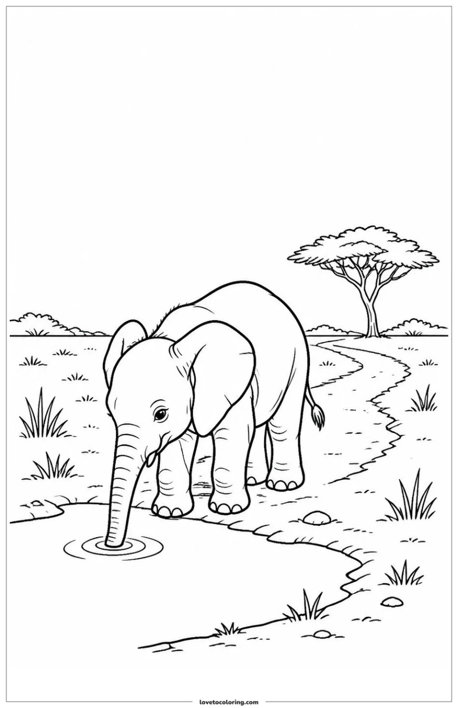 Black-and-white printable coloring page showing a baby elephant drinking at the edge of shallow water.