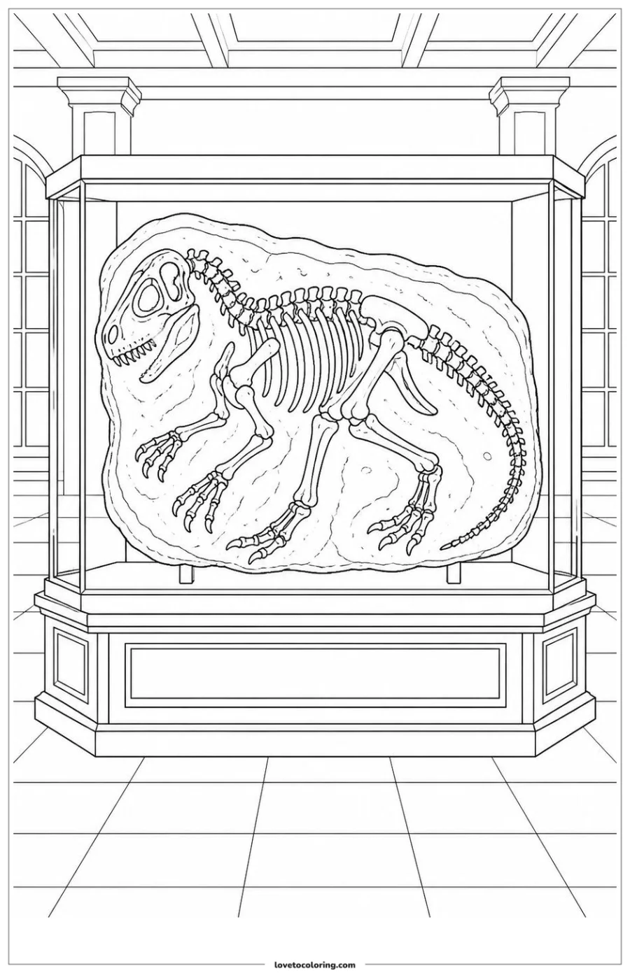 Dibujo para colorear de museum fossil display