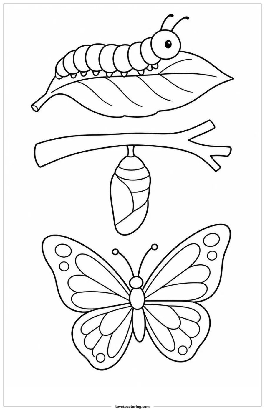 Dibujo para colorear de butterfly life cycle placed in three non-overlapping panels