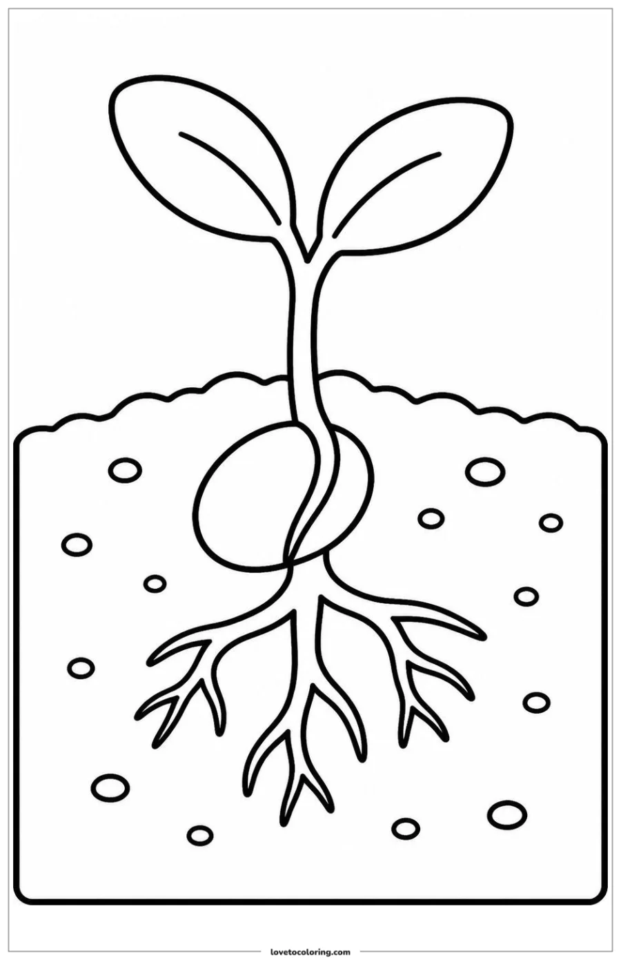 Dibujo para colorear de seed sprouting in soil