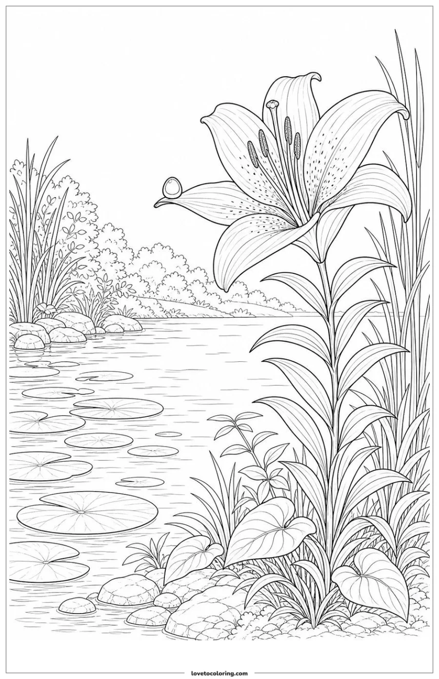 Black-and-white printable coloring page showing a lily holding one dew drop on a petal edge.
