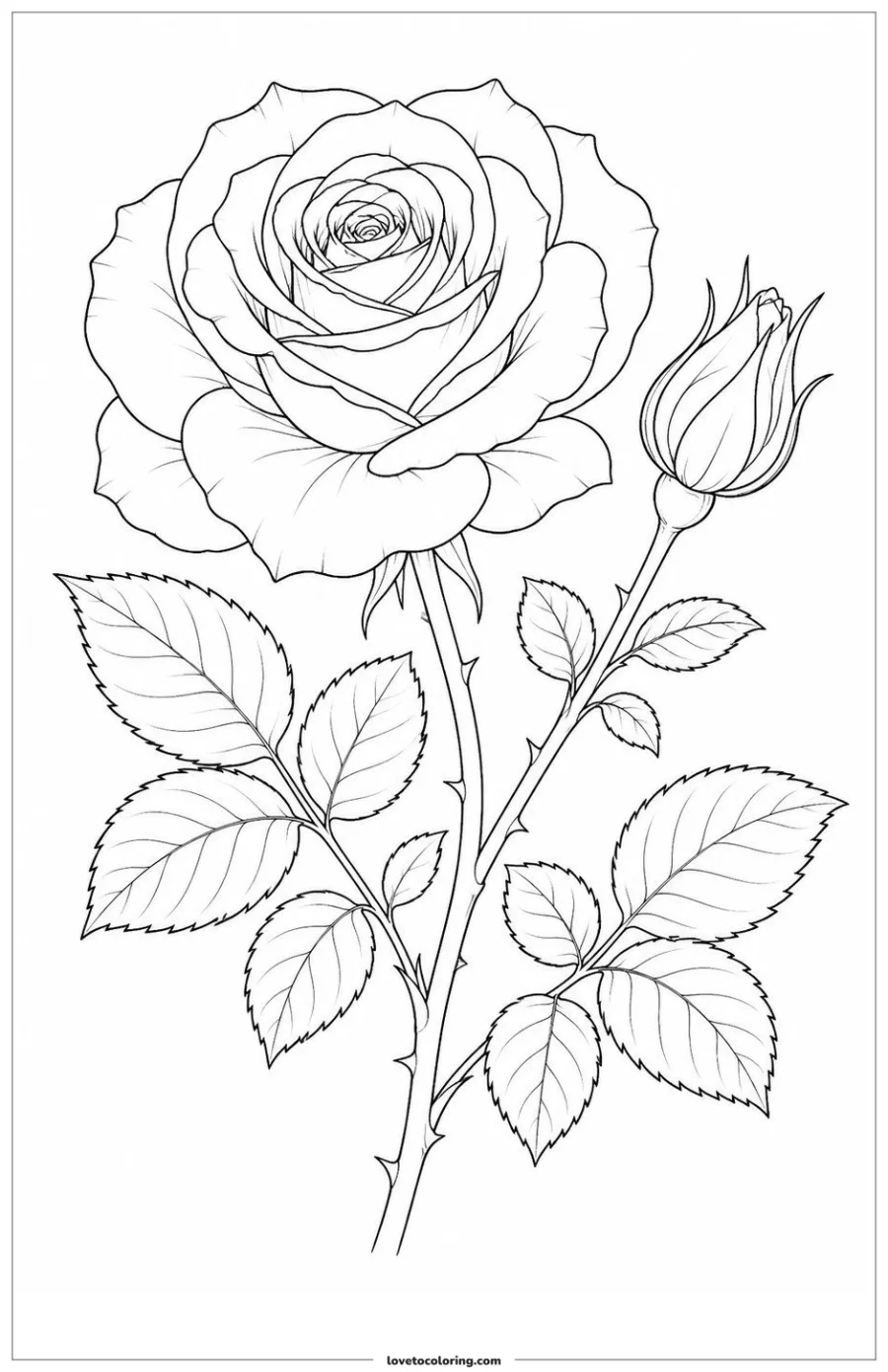 Black-and-white printable coloring page showing a rose showing one bud beside one open bloom.