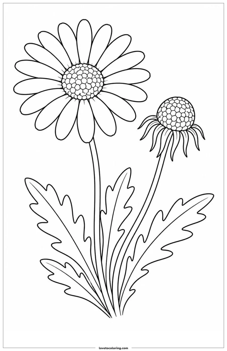 Black-and-white printable coloring page showing a daisy showing a seed head beside the bloom.
