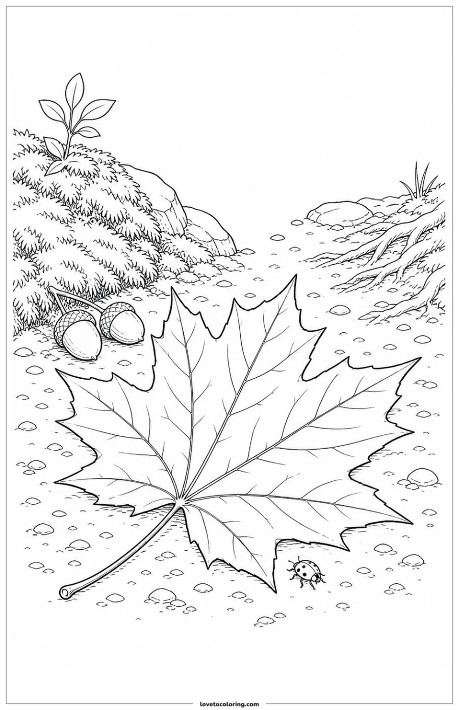 Large maple leaf resting on a woodland path beside acorns and a tiny insect.