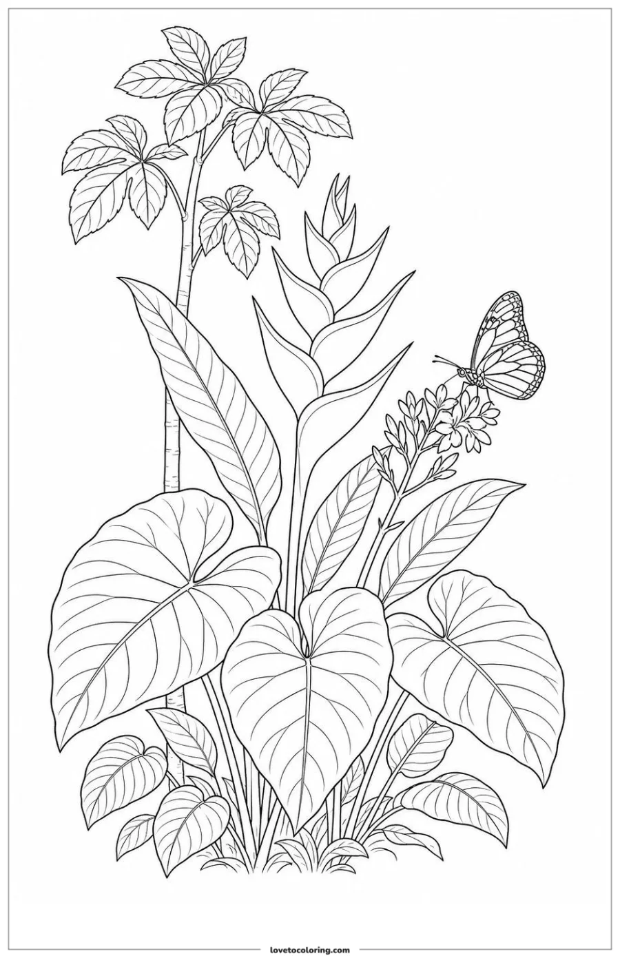Dibujo para colorear de rainforest plant habitat