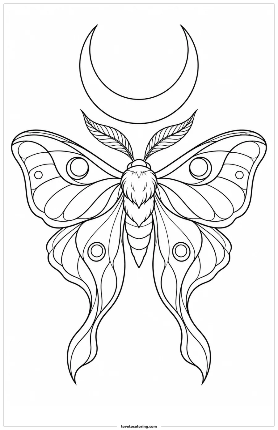 Dibujo para colorear: polilla y luna