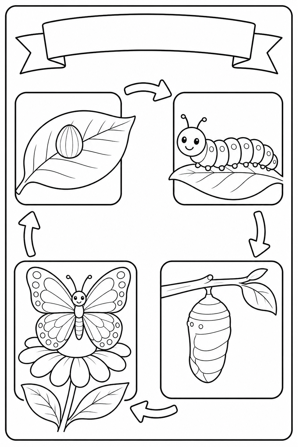 Butterfly life cycle printable classroom coloring worksheet